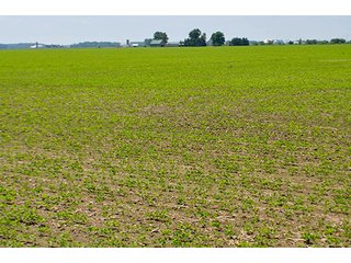 Property photo 136 - LAND AUCTION - 700+/- ACRES OFFERED IN 16 TRACTS IN ALLEN COUNTY, INDIANA